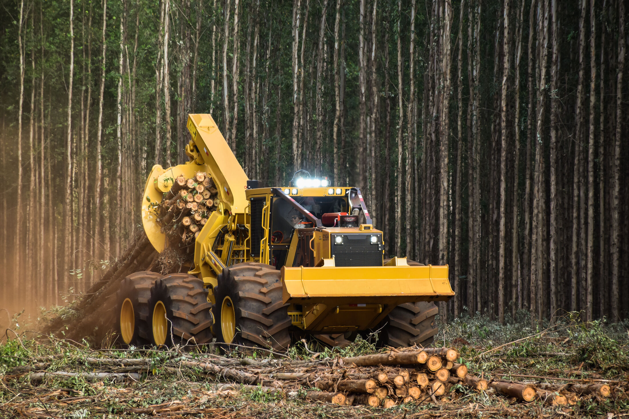 The iron that moves timber